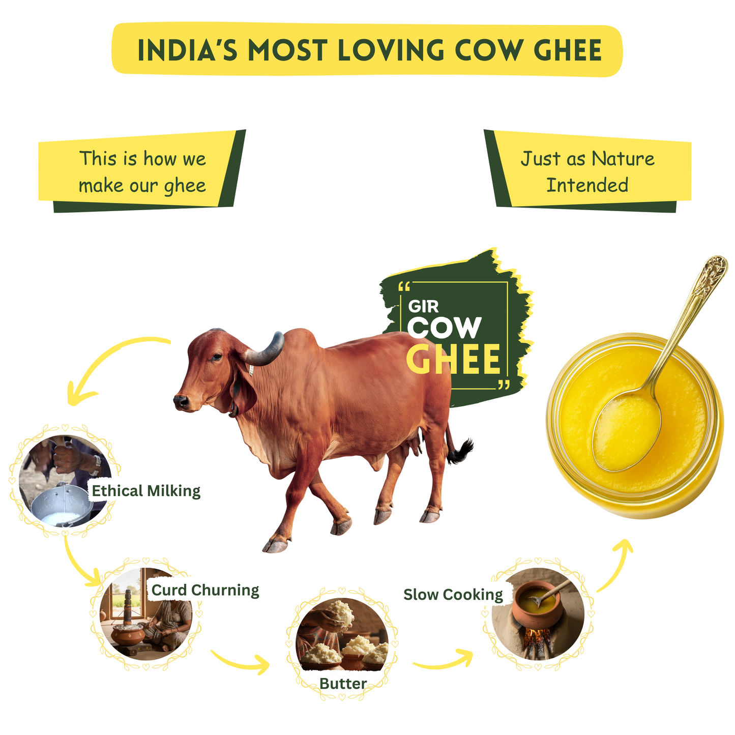 Gir Cow Bilona Ghee