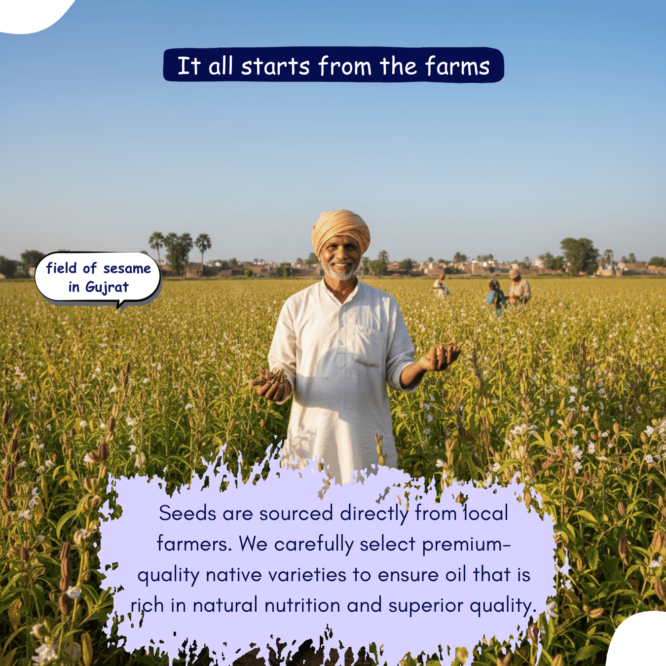 Wood-pressed Sesame Oil